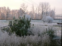 La pensée du jour