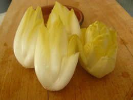 Endive - Chicorée