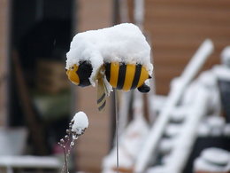 C'est le printemps?