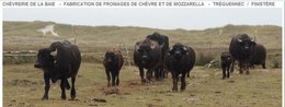 A la découverte de nos régions