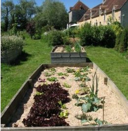 voici toutes mes semis 25 variétés de legumes