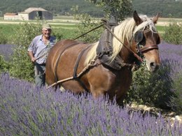 La pensée du jour