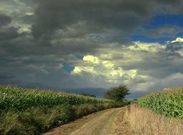 La pensée du jour