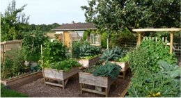 Créer un potager en carré