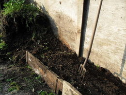 Début mars, avez-vous déjà semé des légumes à l'abri ?