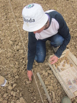 aprés le labour les plantations.