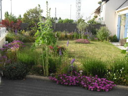 Quelle plante pour balcon en plein soleil de Provence