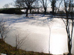 resultat du traitement  de  mon etang