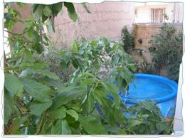 Une piscine dans mon jardin, erreur ? budget ?