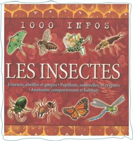 Quel est cet insecte!!!