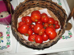 Tomates... tomates ....