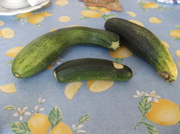 Courgette