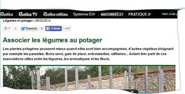 Les associations au potager