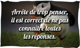 La pensée du jour