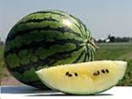 Cet été, avez-vous récolté des melons à confiture ?