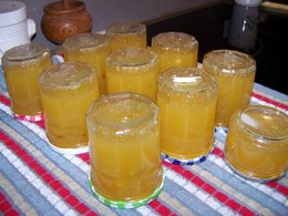 Cet été, avez-vous récolté des melons à confiture ?