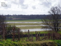 LES MARAIS DU BESSIN