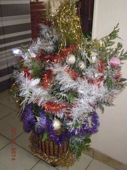 Votre sapin est déjà décoré ?