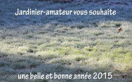 BONNE ANNEE 2015