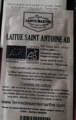 laitue st antoine  de la ferme ste marhe