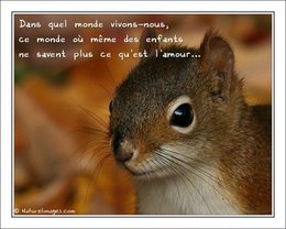 La pensée du jour