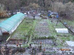 Evolution du potager de jardinier-amateur : de 2005 à 2011