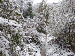 Déneiger le jardin