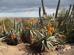 visite des jardins des iles