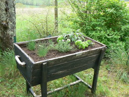 Vieux pétrin convertit en jardinière.