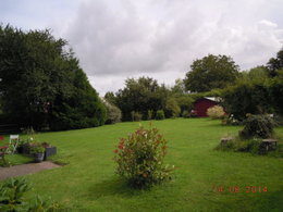 Aujourdui que faite vous dans votre jardin 