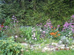 Aujourdui que faite vous dans votre jardin 