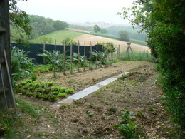 Aujourdui que faite vous dans votre jardin 