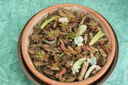 Plantes grasses : des conseils ?