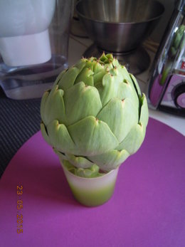 ARTICHAUT