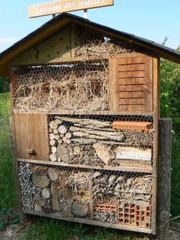 Abri pour insectes.