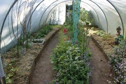 Aujourdui que faite vous dans votre jardin 