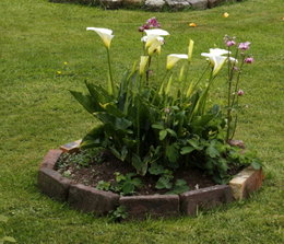 Chaleur et canicule au jardin