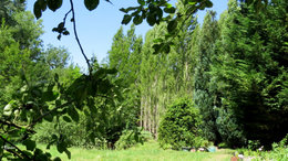 Chaleur et canicule au jardin