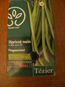 AVIS SUR HARICOTS VERTS NAINS