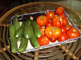 Aujourdui que faite vous dans votre jardin 