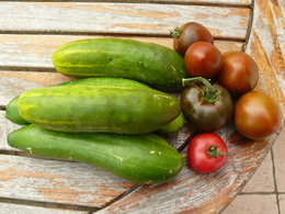 Cultivez-vous plusieurs variétés de tomates ?