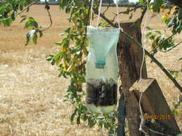 Aujourdui que faite vous dans votre jardin 