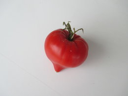 tomate balcon