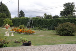 Aujourdui que faite vous dans votre jardin 