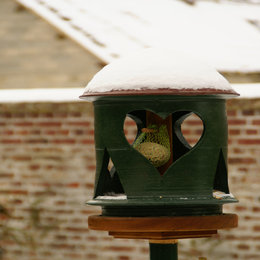 Accueillir ou non les oiseaux en hiver ?