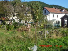 Aujourdui que faite vous dans votre jardin 