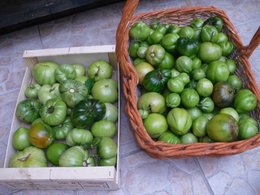 Travaux au jardin avant l'hiver le 18 19 et 20 octobre... 