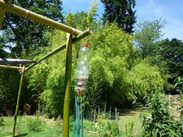 Nourrir les oiseaux en hiver au jardin