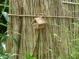 Nourrir les oiseaux en hiver au jardin