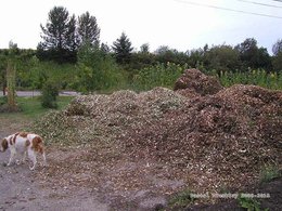 Faire une plate bande sans enlever le gazon - Truc